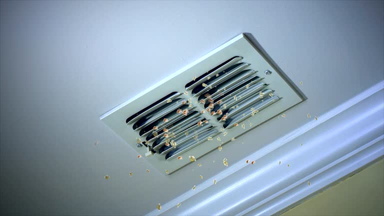 Best HVAC System Cleaning  in Hebron, IN